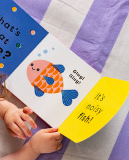 What’s that noise? Miaow! (Noisy board book)