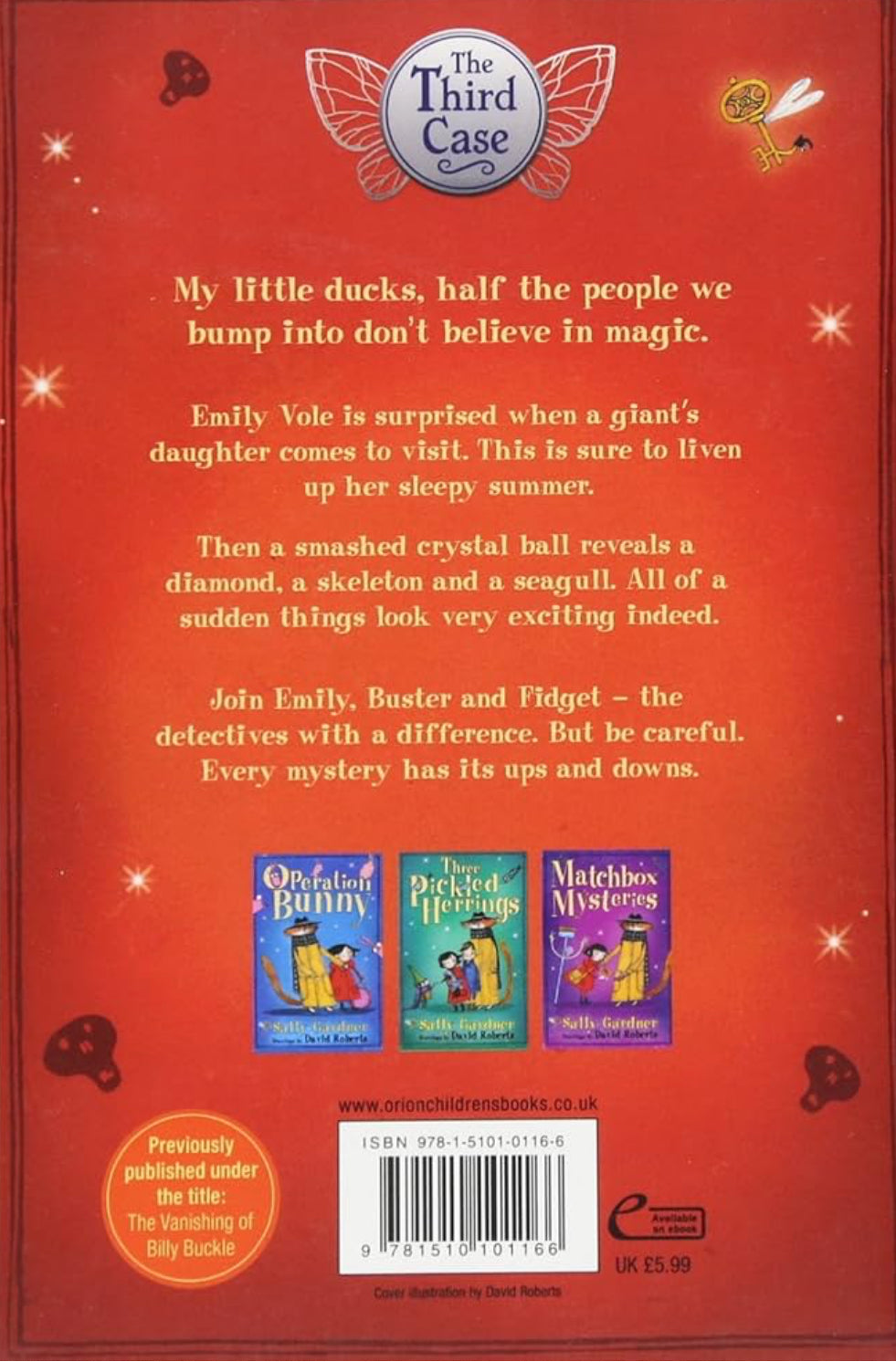 The Rollercoaster Case by Sally Gardener