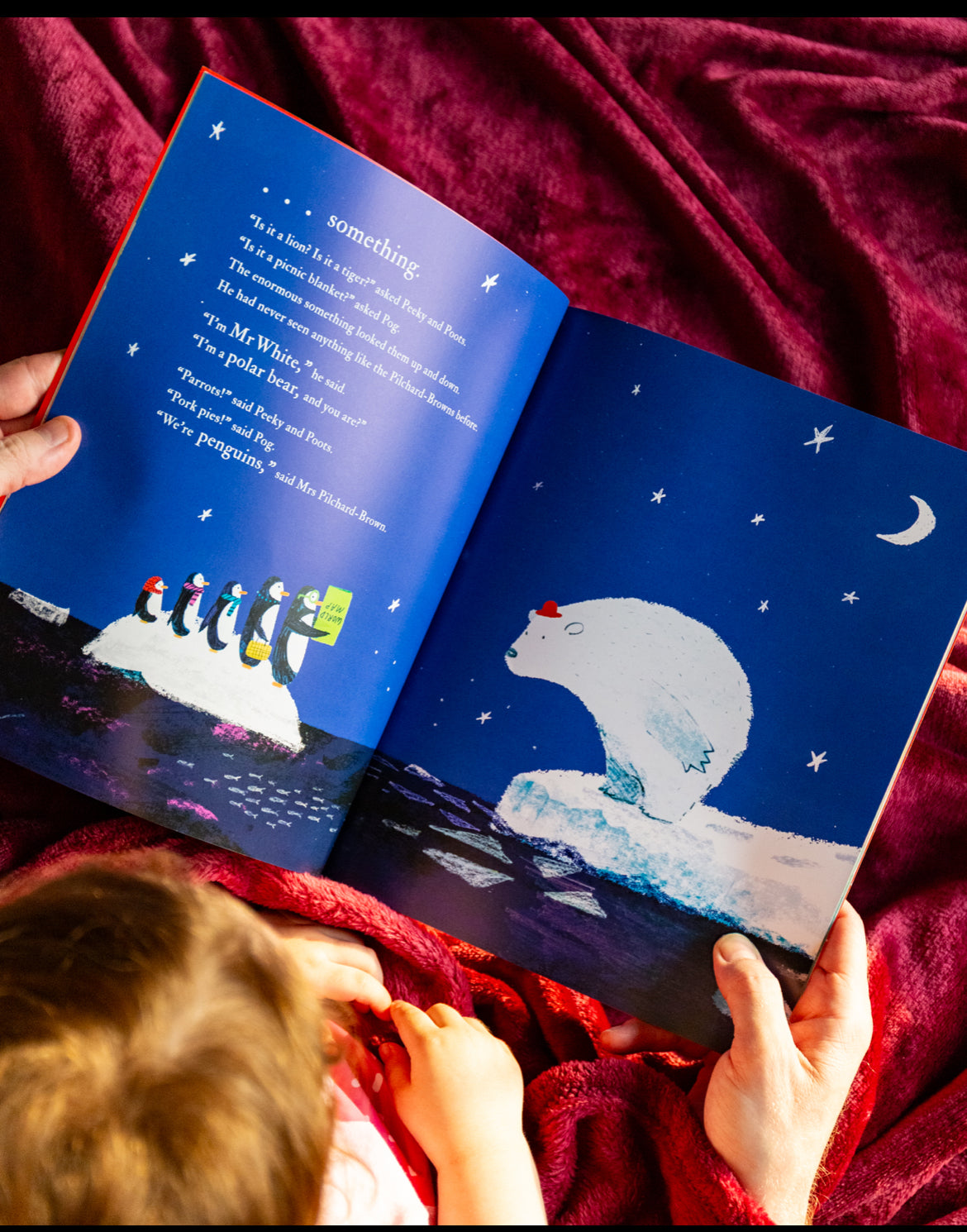 Poles Apart by Jeanne Willis & Jarvis