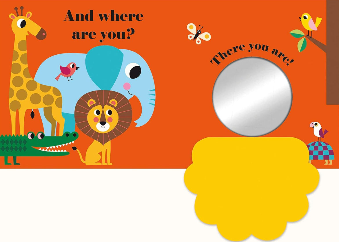 Where’s Mr Lion? (Board book)