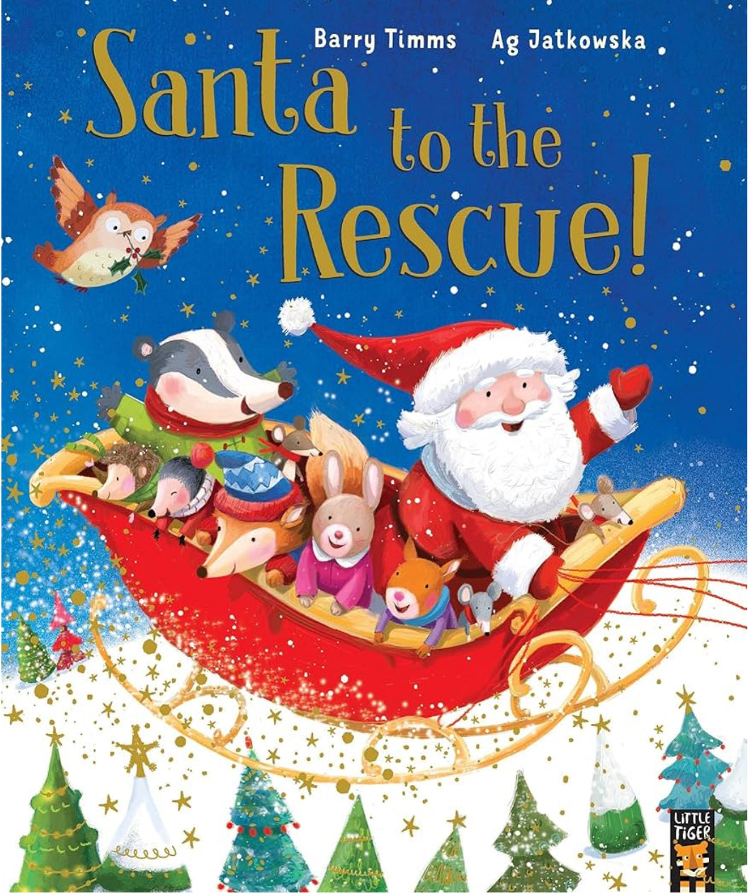 Santa to the Rescue by Barry Timms