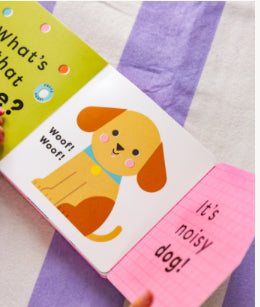 What’s that noise? Miaow! (Noisy board book)