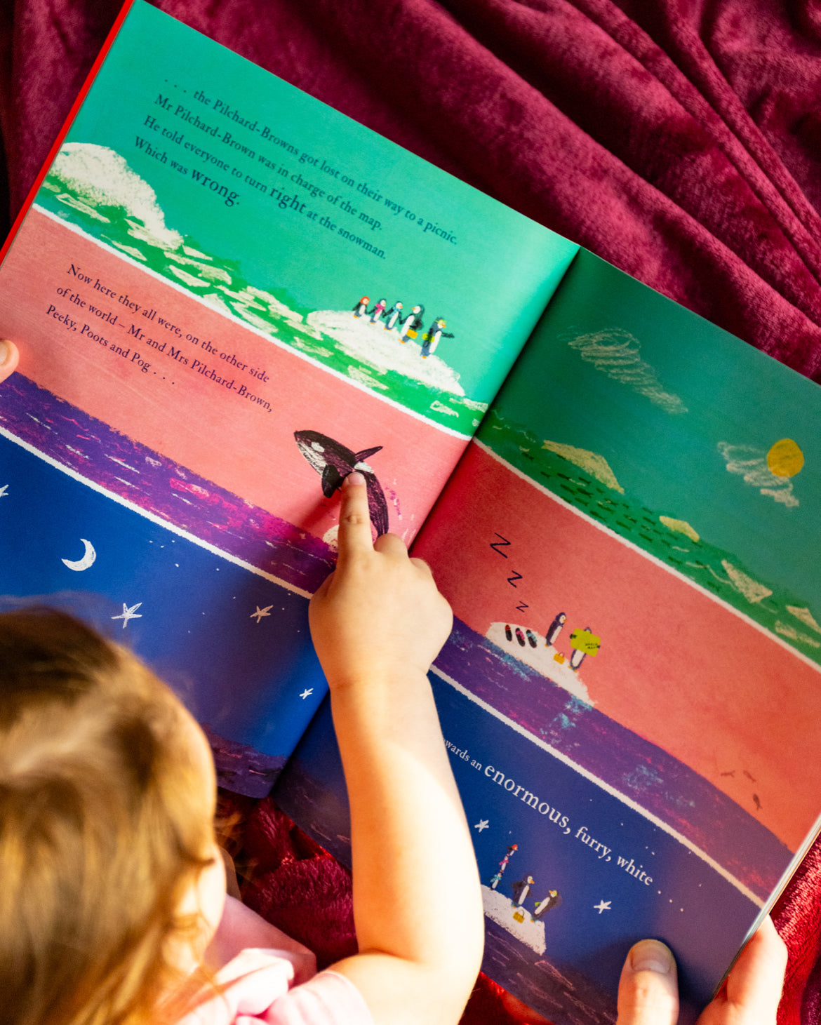 Poles Apart by Jeanne Willis & Jarvis