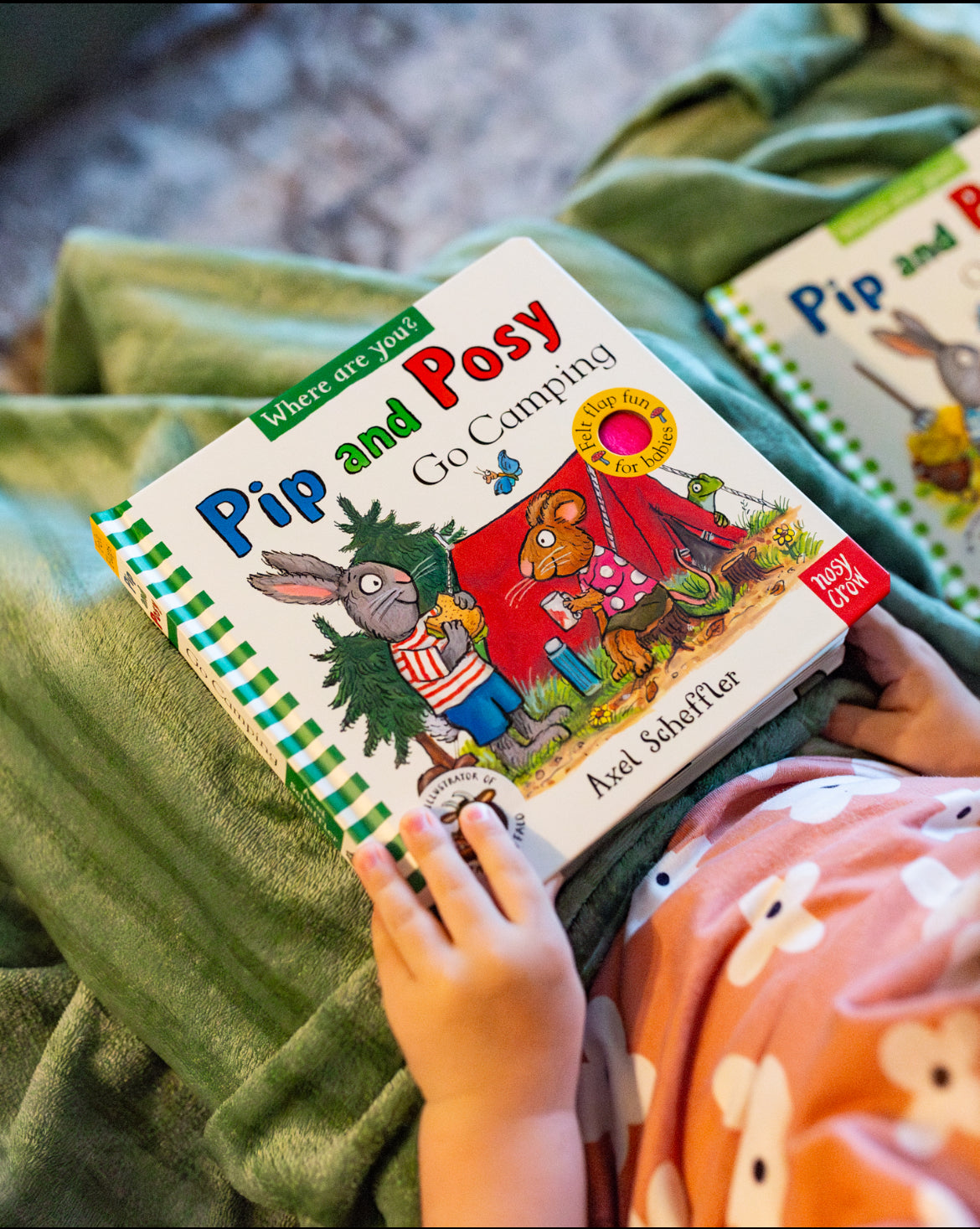 Pip and Posy go Camping (board book)