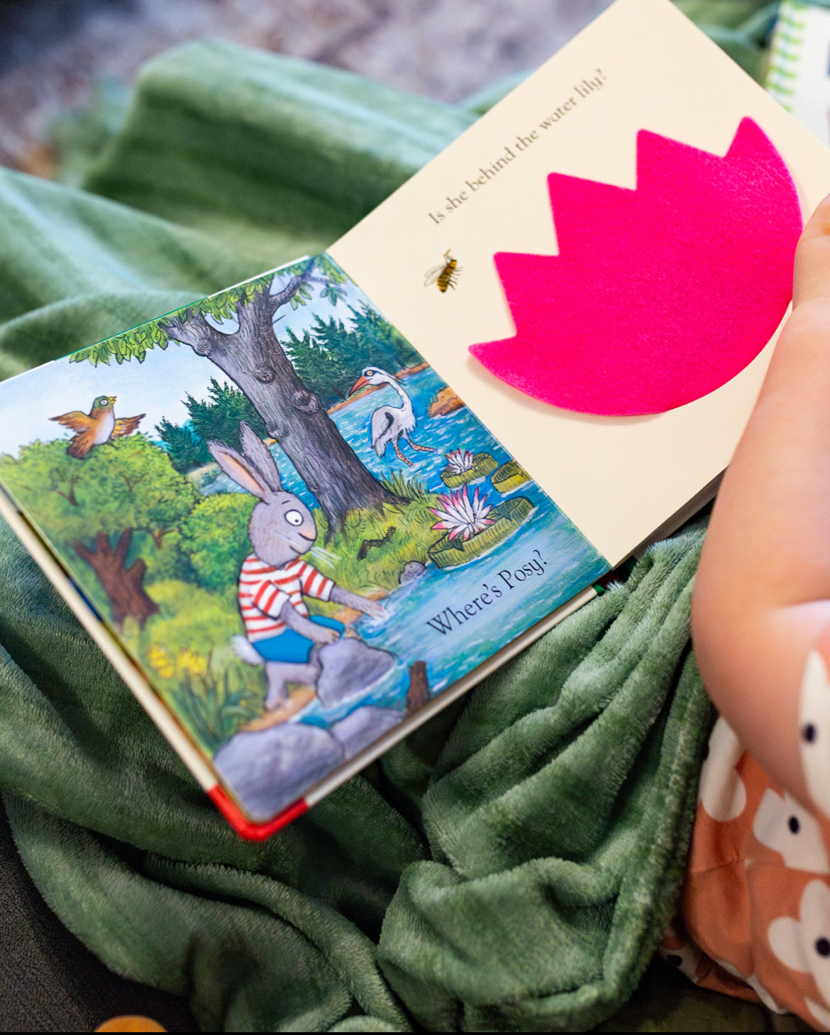 Pip and Posy go Camping (board book)