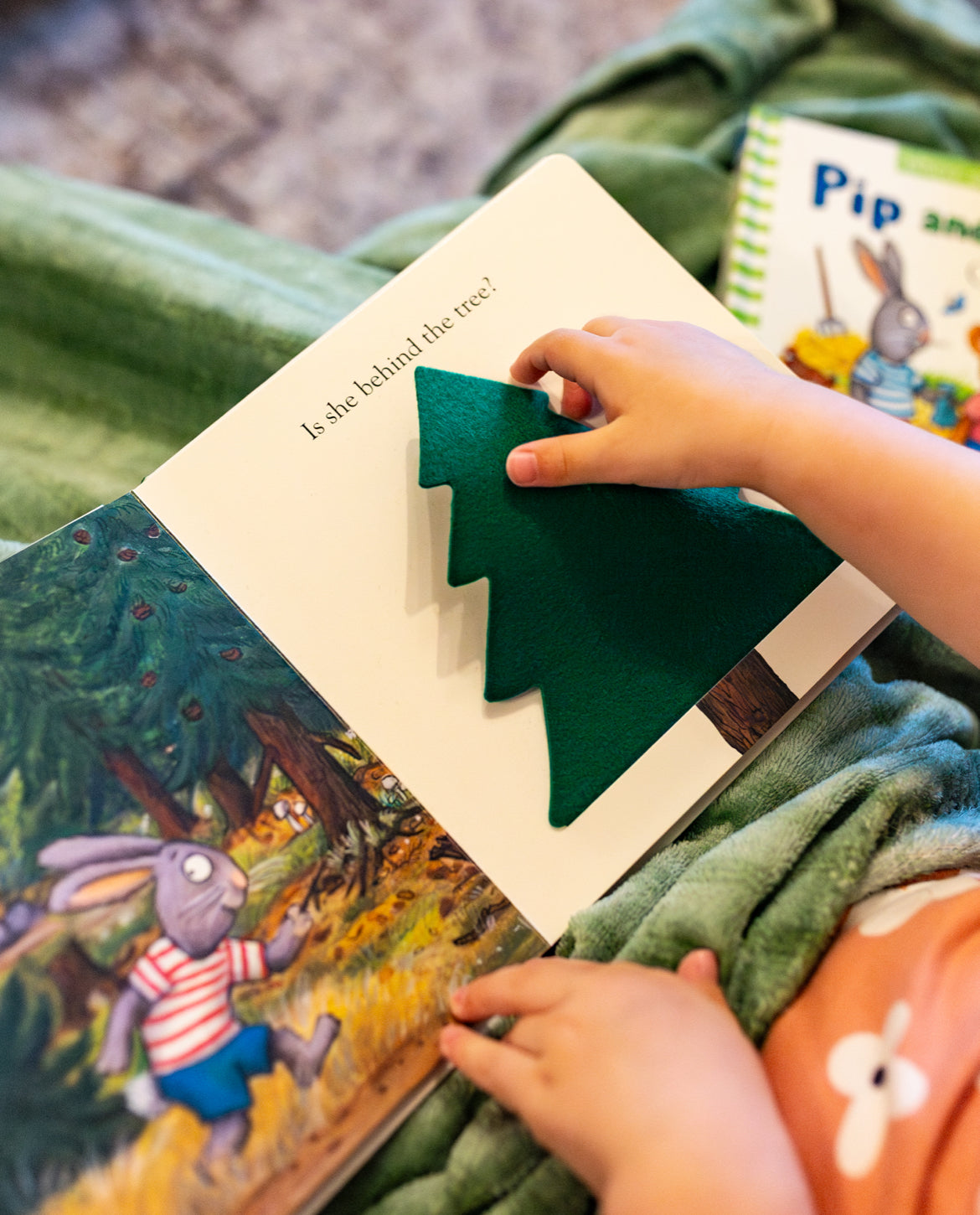 Pip and Posy go Camping (board book)