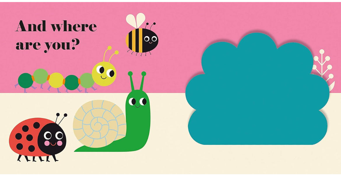 Where’s Mrs Ladybird? (Board book)