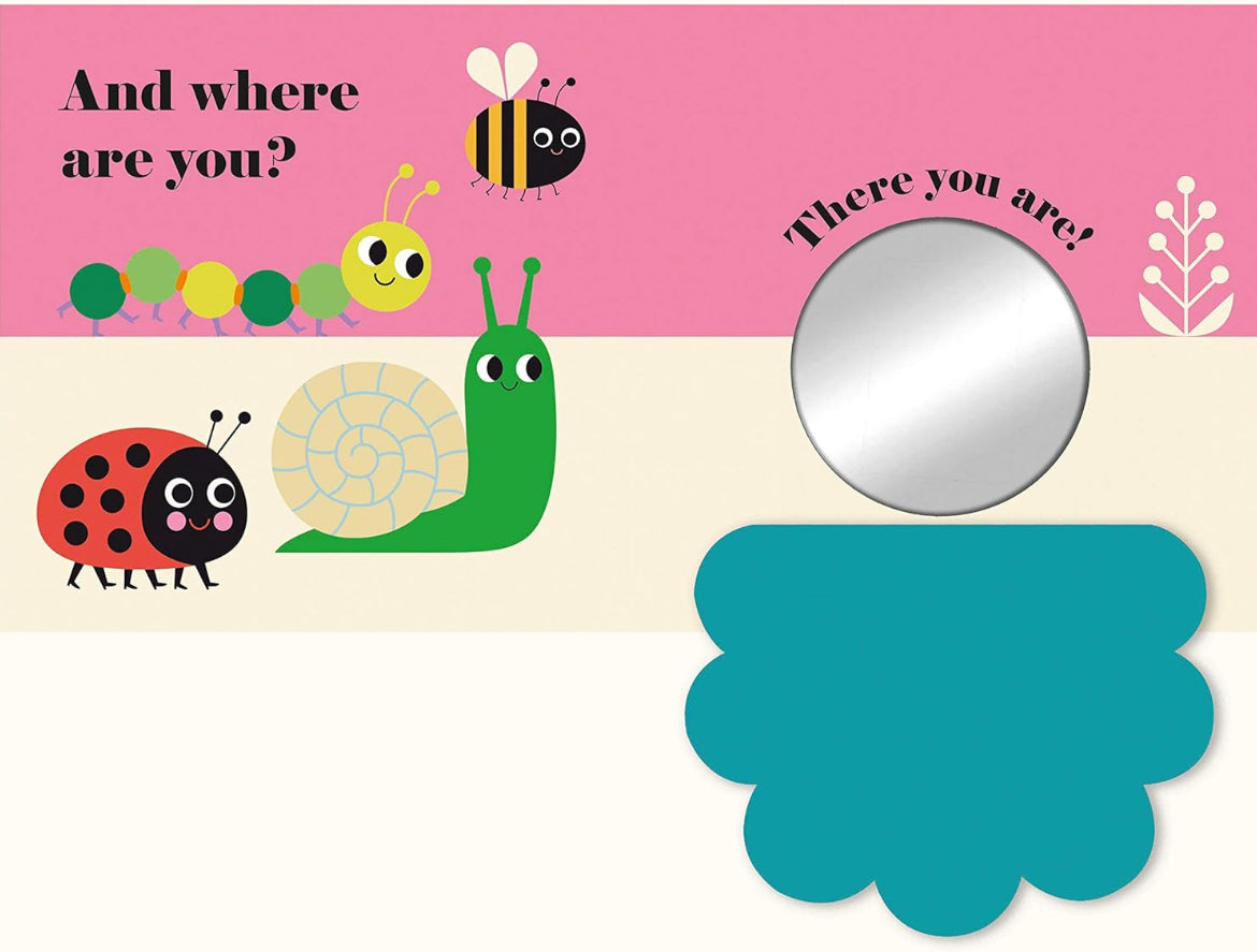 Where’s Mrs Ladybird? (Board book)