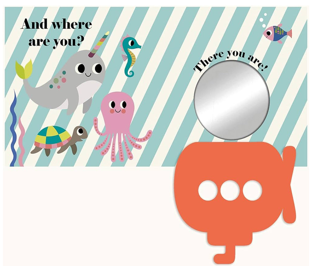 Where’s Mr Narwhal? (Board book)