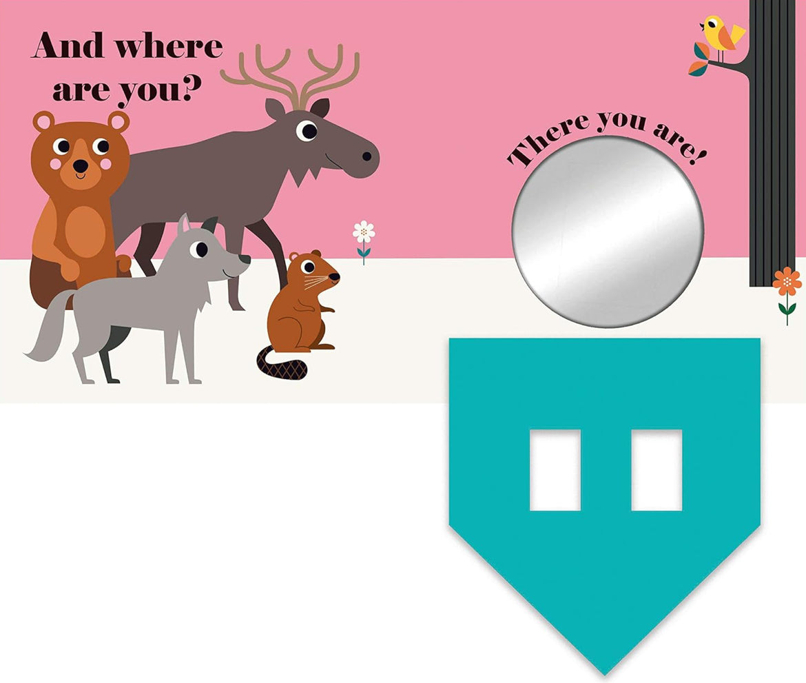 Where’s Mrs Bear? (Board book)