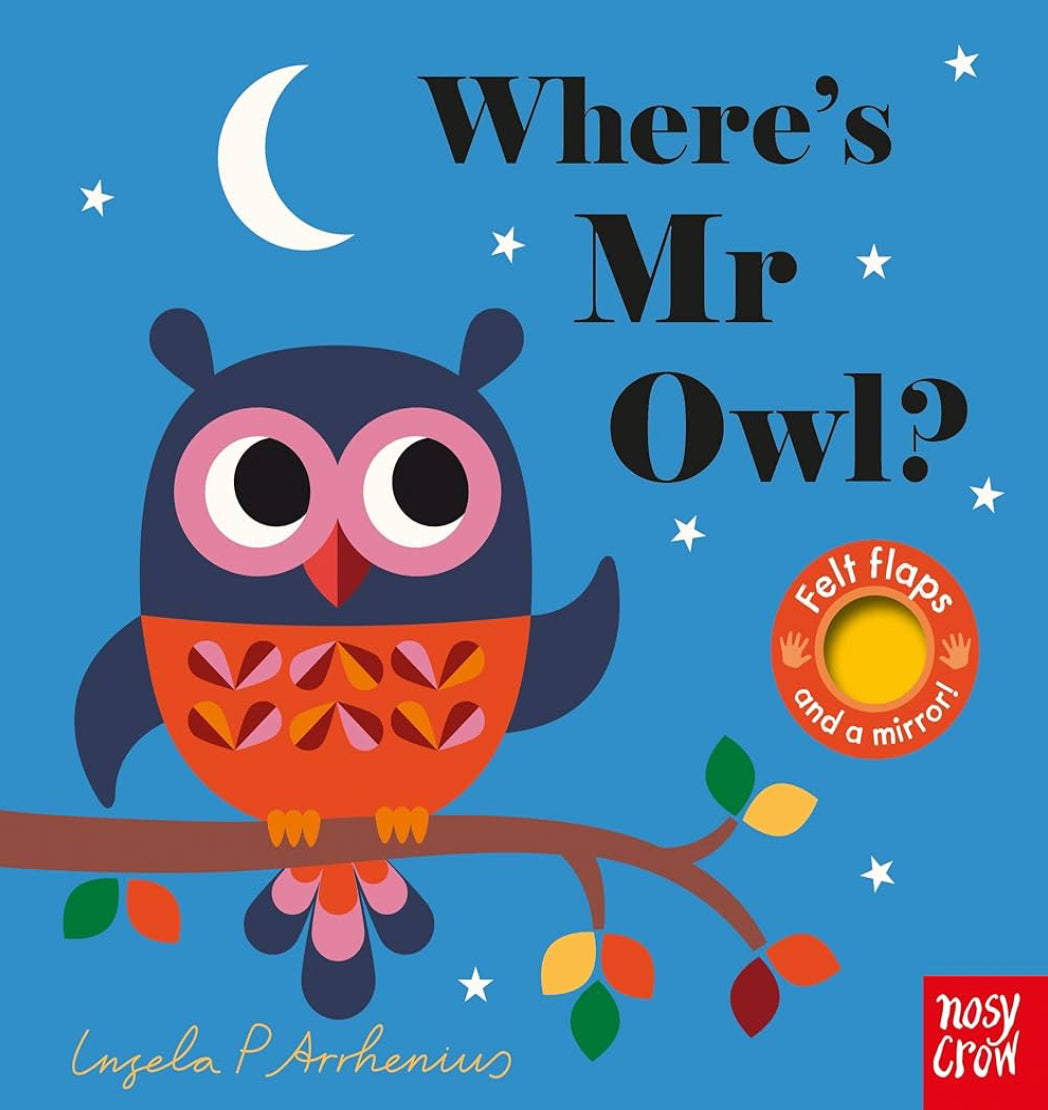 Where’s Mr Owl? (Board book)