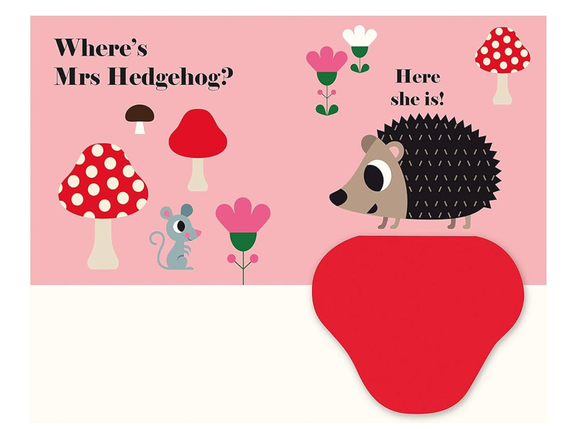 Where’s Mr Owl? (Board book)