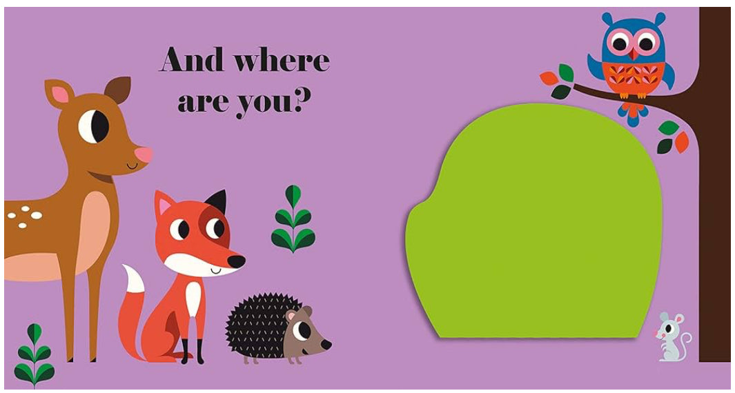 Where’s Mr Owl? (Board book)