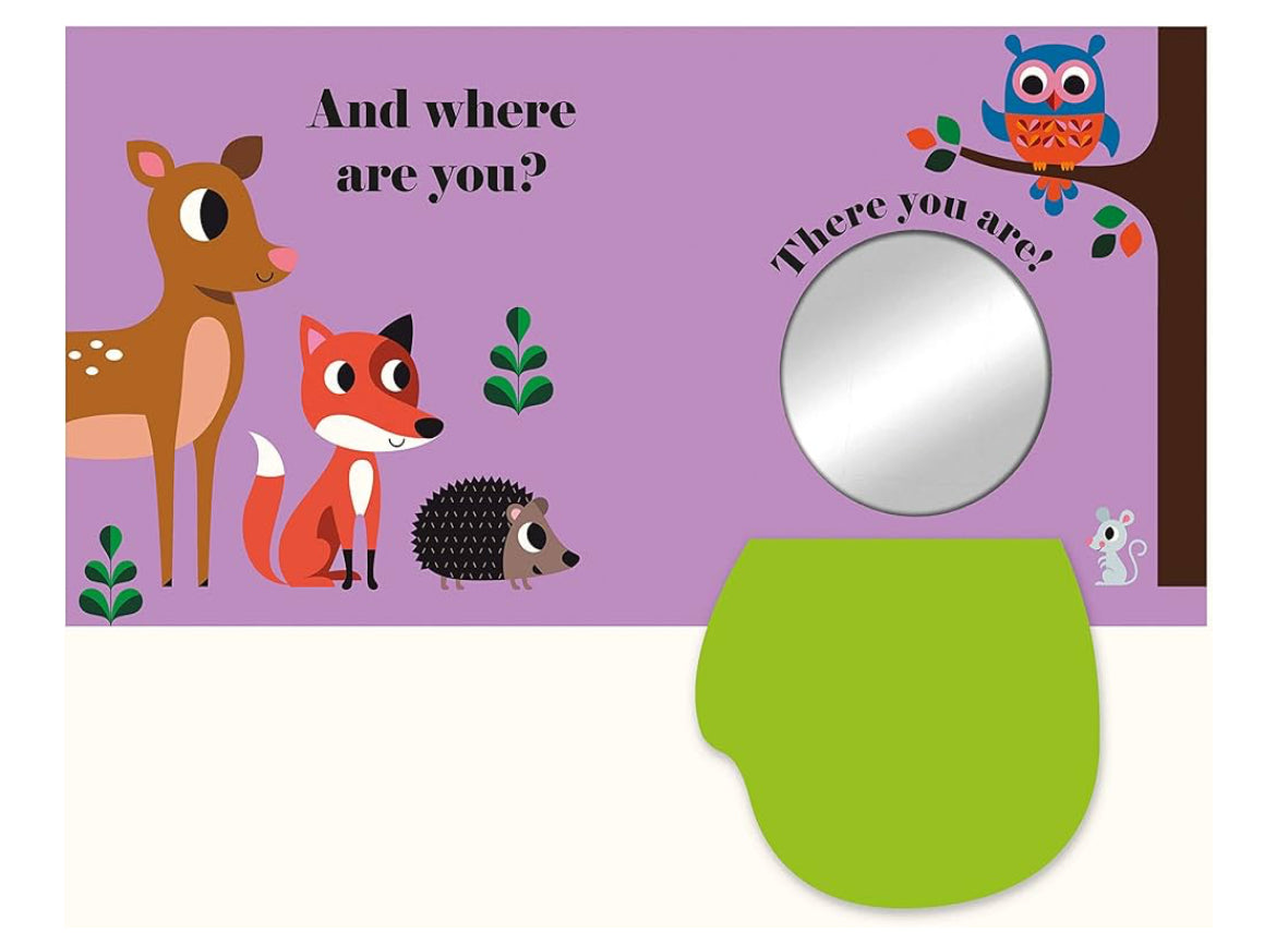 Where’s Mr Owl? (Board book)