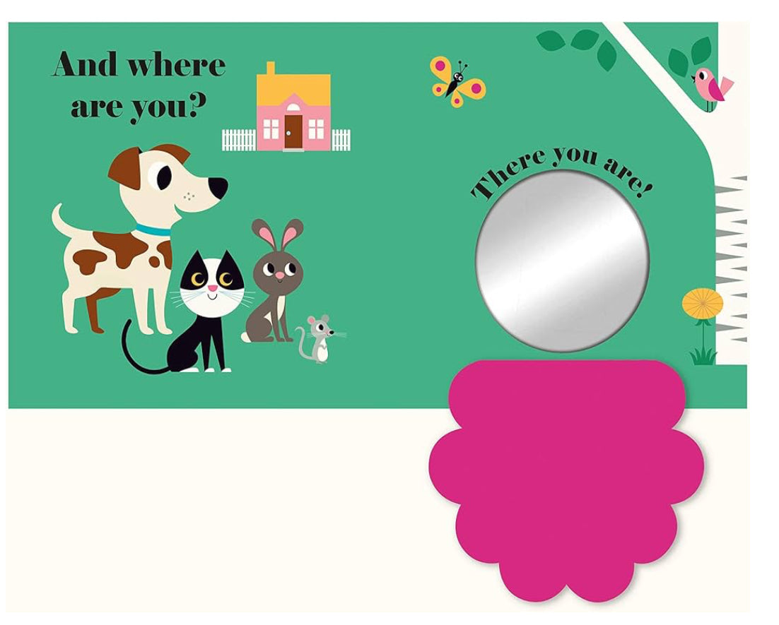 Where’s Mr Dog? (Board book)
