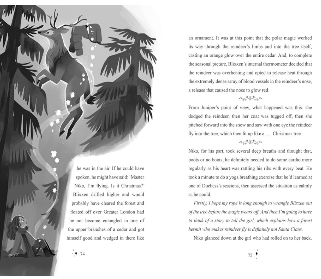 Juniper’s Christmas by Eoin Colfer